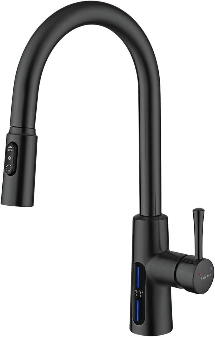 Lefton Pull-Down Kitchen Faucet